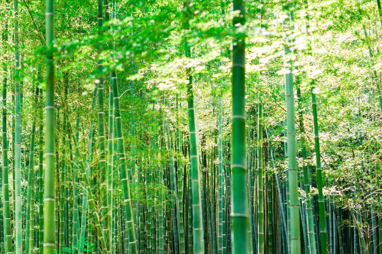Suiran, A Luxury Collection Hotel, Kyoto Eksteriør billede